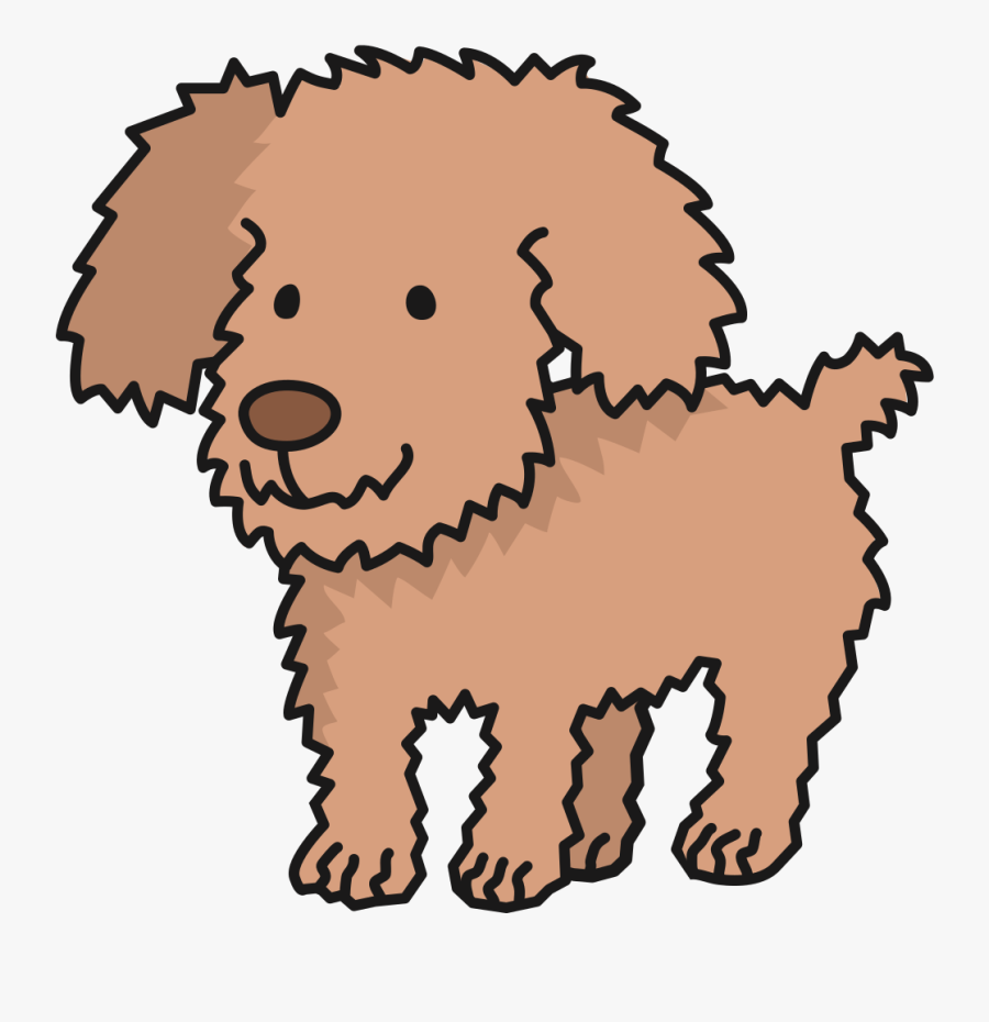 Toy Dog,poodle,lagotto Romagnolo, Transparent Clipart