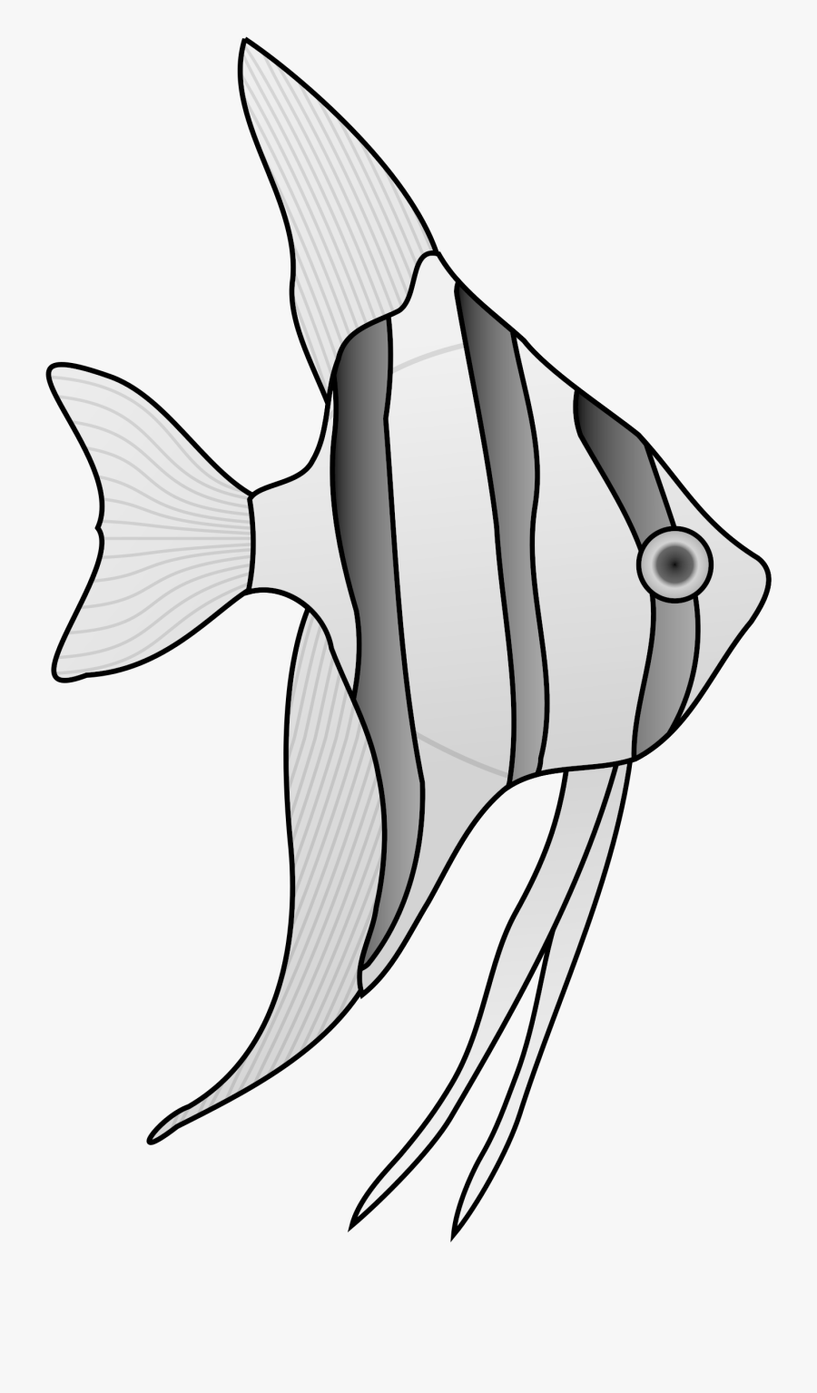 Angel Fish Cliparts Clip Art Library - Angel Fish Drawing, Transparent Clipart