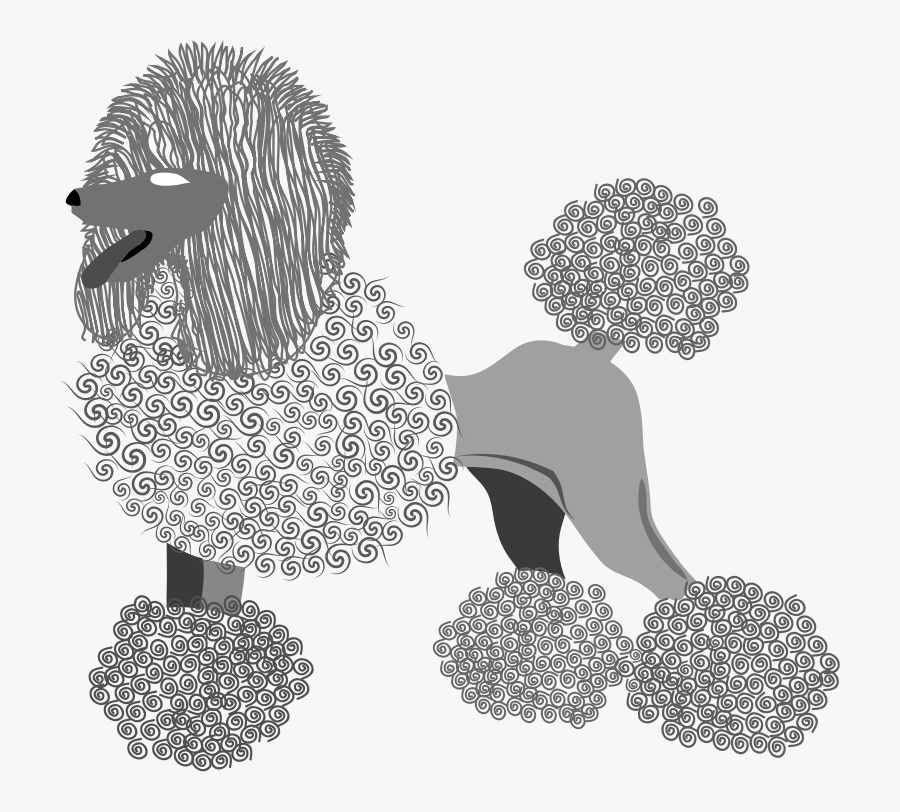 Miss Frenchie - Illustration, Transparent Clipart