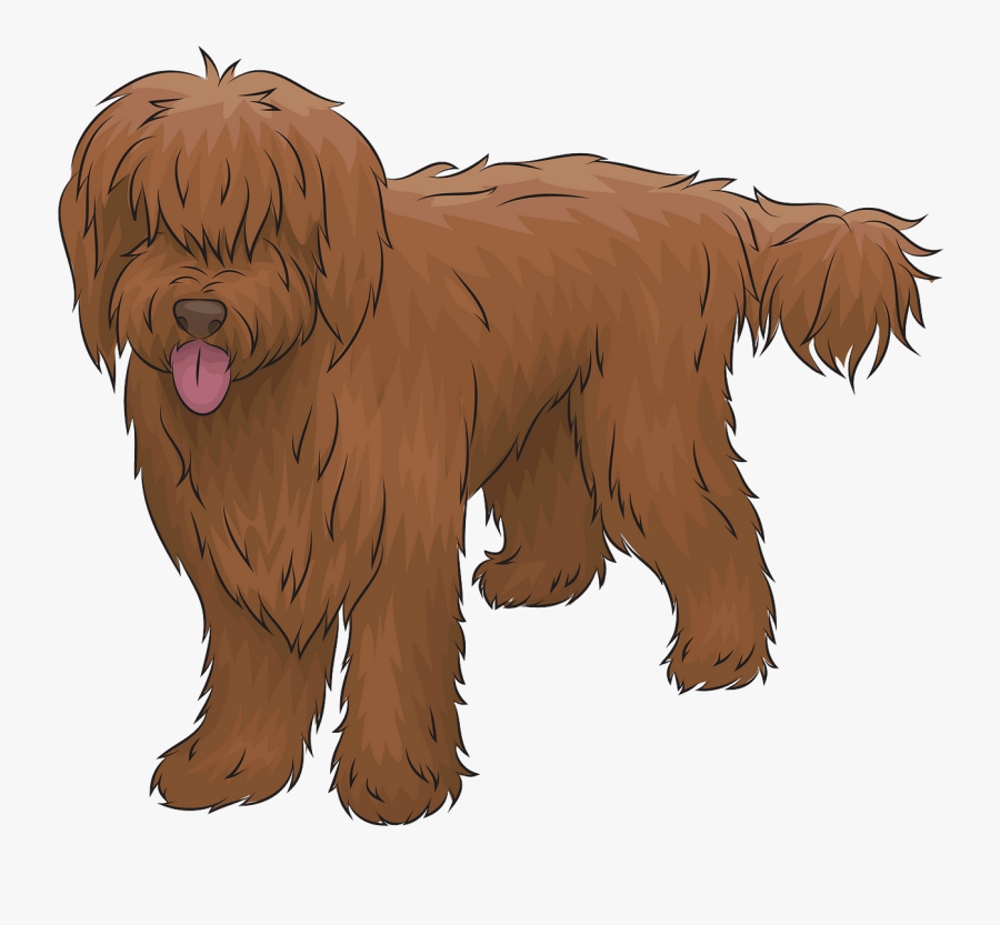 Tibetan Terrier, Transparent Clipart