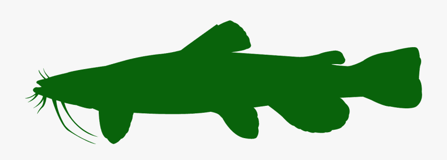 Catfish Silhouette Catfish Vector, Transparent Clipart