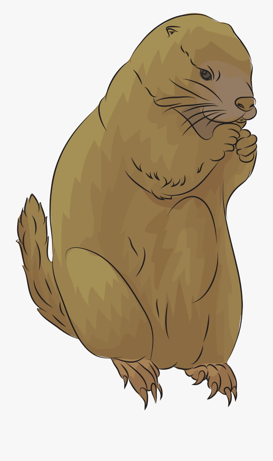 Cat Yawns, Transparent Clipart