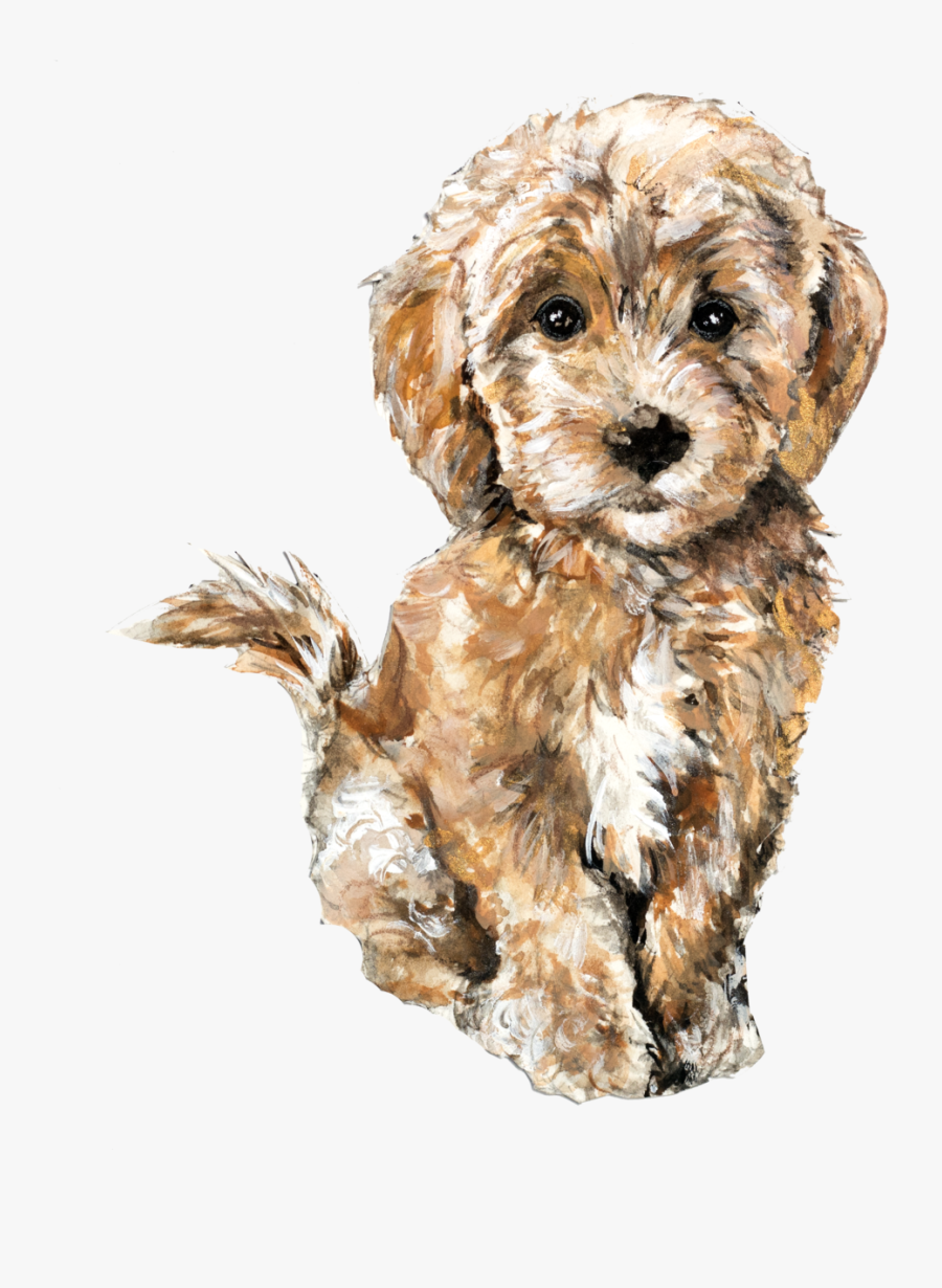 Poodle, Transparent Clipart