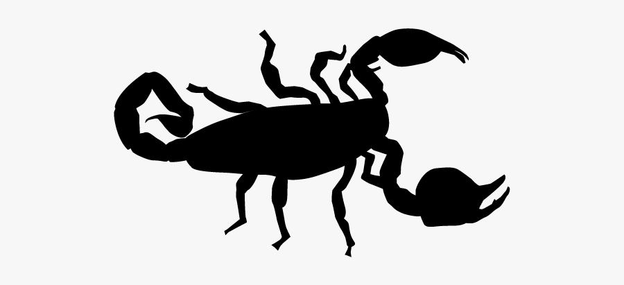 Scorpion, Transparent Clipart