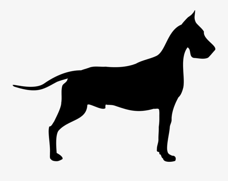 Great Dane Dogue De Bordeaux Old Danish Pointer Poodle - Great Dane Vector Png, Transparent Clipart