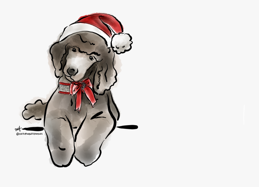 Mini Poodles, Cute Little Animals, Fur Babies, Dog - Dog Licks, Transparent Clipart