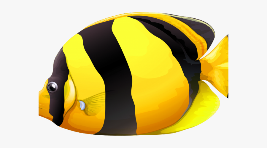 Transparent Background Tropical Fish Clipart, Transparent Clipart