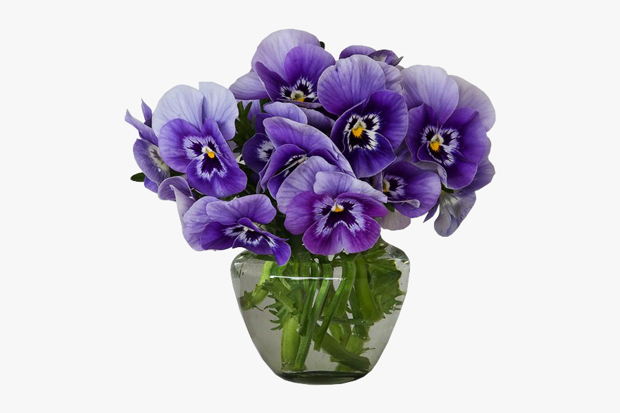 Violets In A Vase, Transparent Clipart