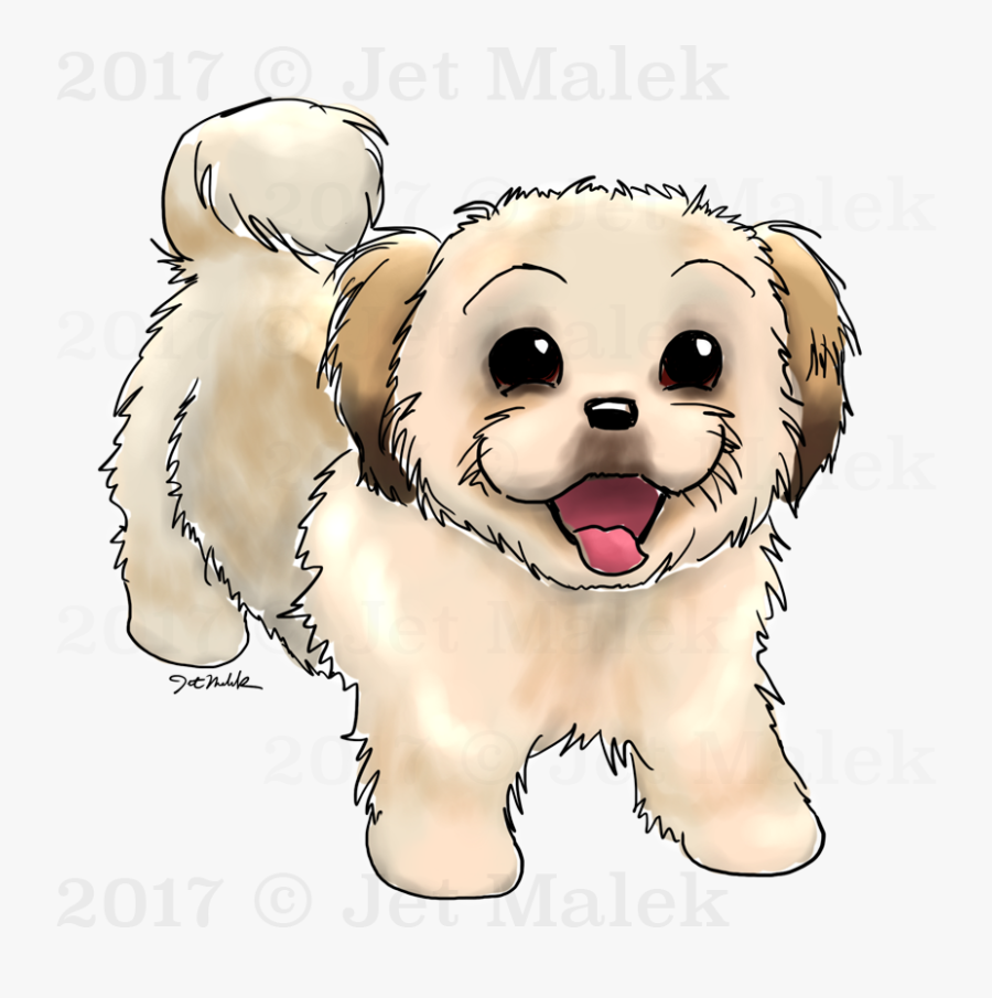 Transparent Shih Tzu Png - Maltipoo Puppy Clipart, Transparent Clipart