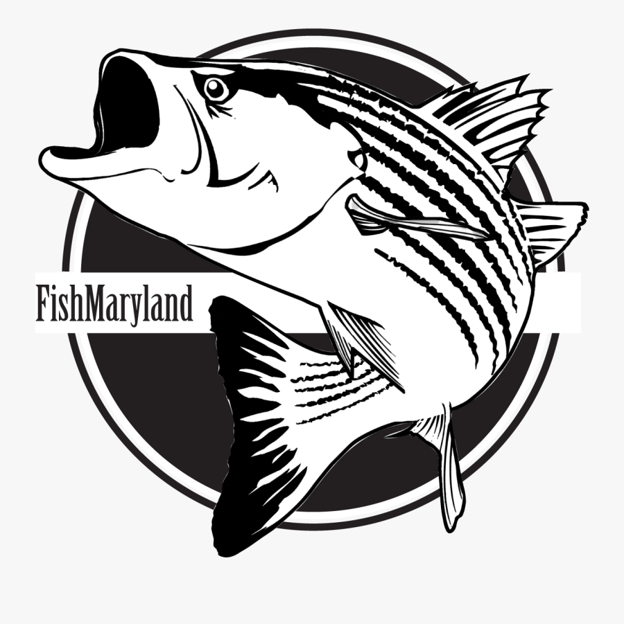 Liked You Better When You, Transparent Clipart