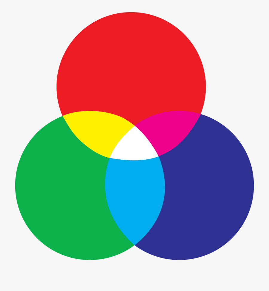 Catfish Vector Fishing - Rgb Color Wheel Png, Transparent Clipart