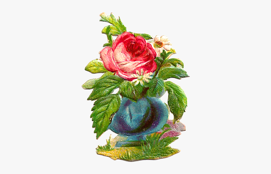 Antique Images - Garden Roses, Transparent Clipart