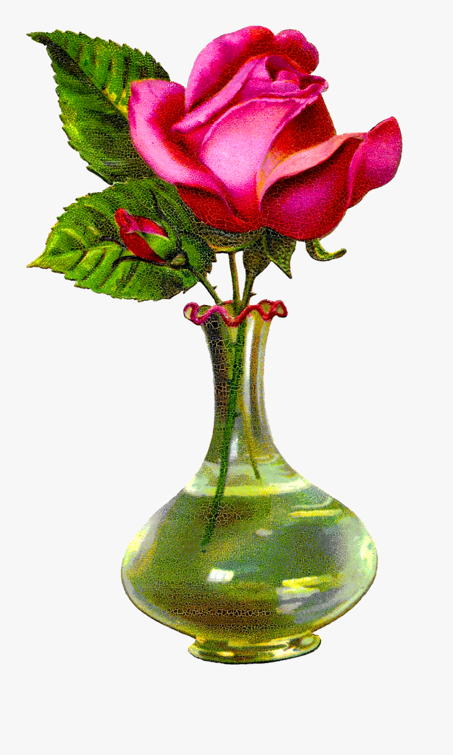Transparent Vase Clipart - Rose Flower With Vase, Transparent Clipart