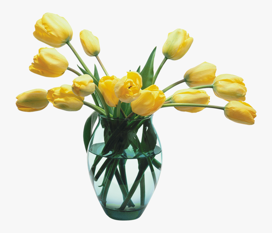 Transparent Flower Vase Png , Free Transparent Clipart ClipartKey