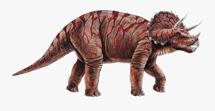 Clip Art Pachycephalosaurus Cretaceous Dinosaur - Transparent Background Triceratops Png, Transparent Clipart