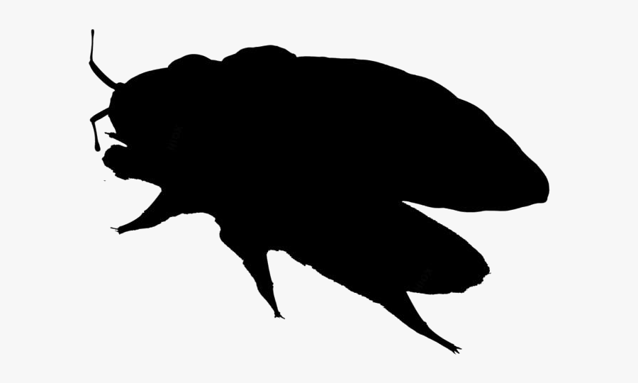Transparent Bed Bug Silhouette Png - Illustration, Transparent Clipart