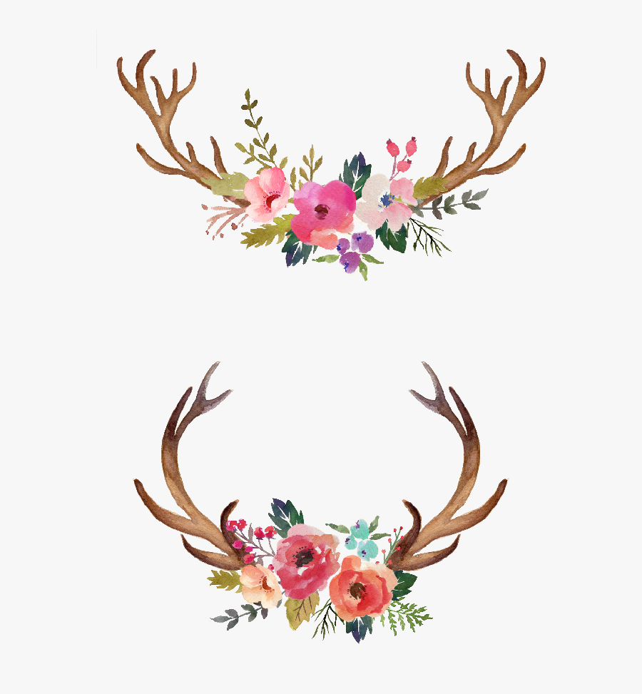 Antlers And Flowers Png Free - Watercolor Floral Antler Clipart, Transparent Clipart