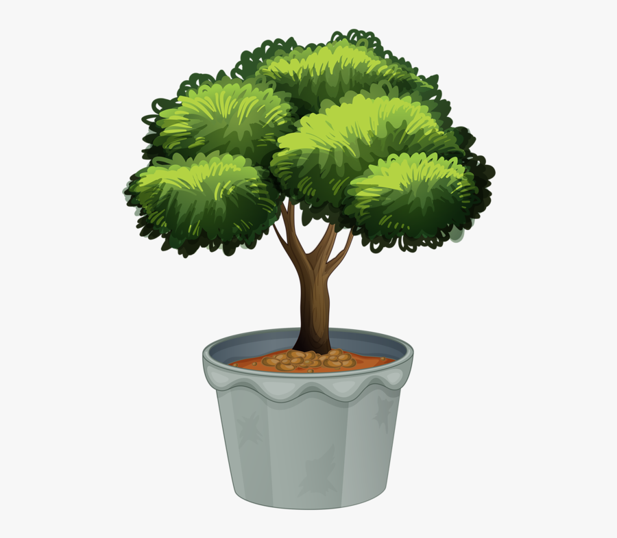 Tree Pot Plant Clipart, Transparent Clipart