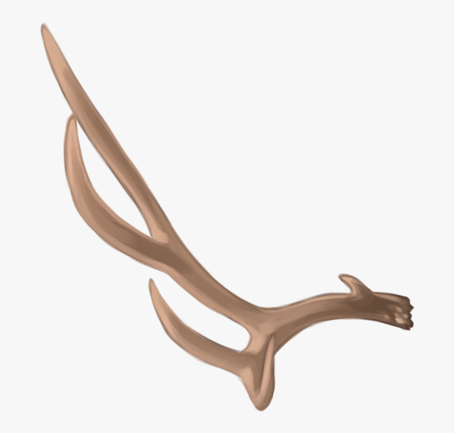 Deer Antler Material - Wood, Transparent Clipart