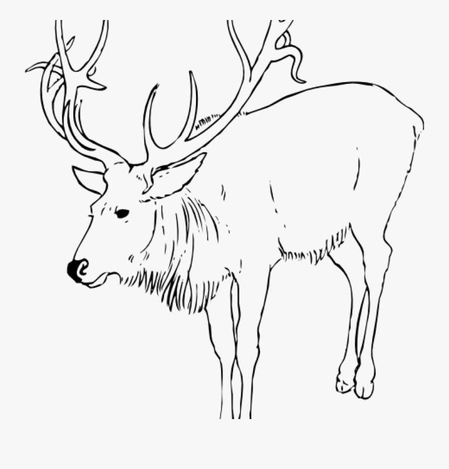 Reindeer Clipart Black And White Santa Clipart Hatenylo - Caribou Animal Black And White, Transparent Clipart