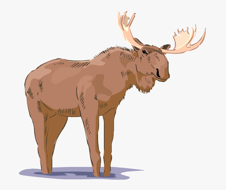 Cartoon Moose Clipart Free Clip Art Images Image 9 - Realistic Moose Clipart, Transparent Clipart