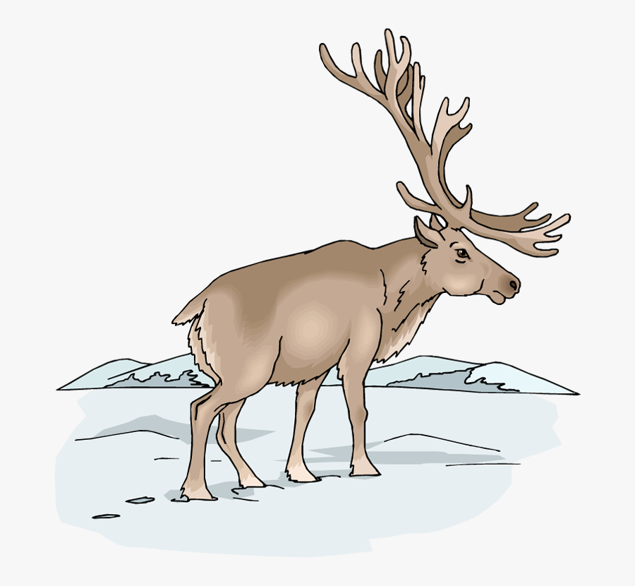 Free Moose Clipart - Clip Art, Transparent Clipart