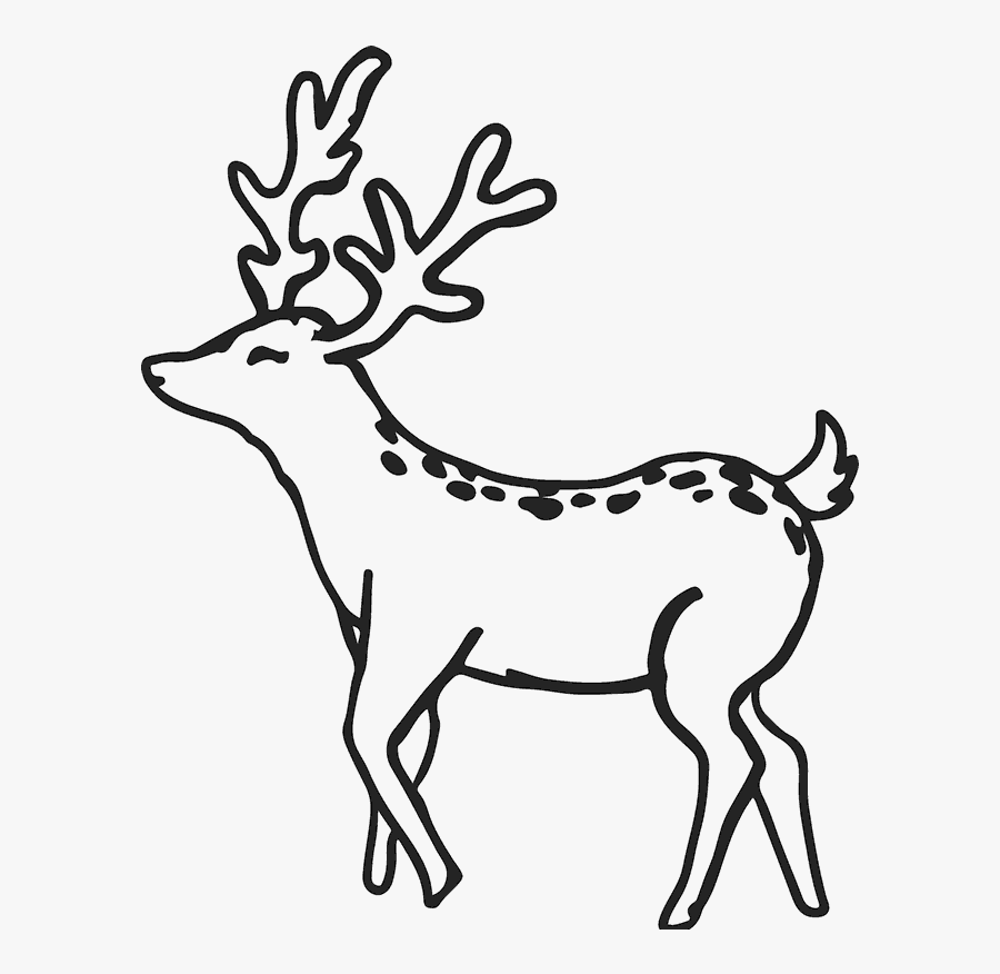 Buck Outline Buck Deer Rubber Stamp Outline Antler - Out Line Picture Of Deer, Transparent Clipart