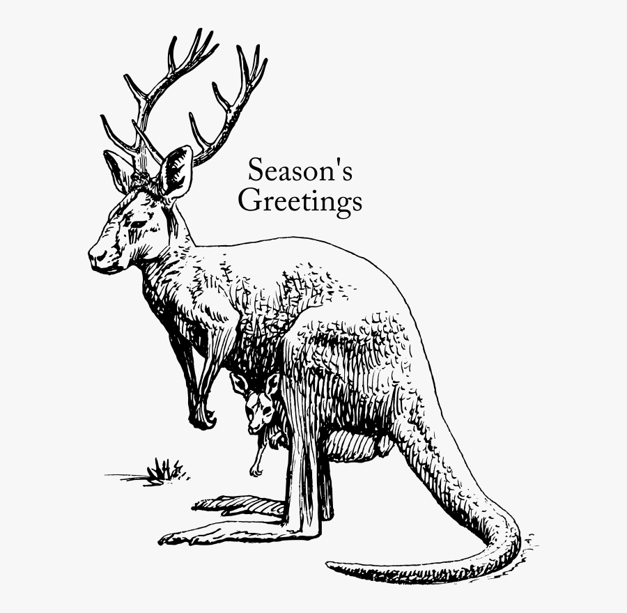 Australian Christmas Images Clipart, Transparent Clipart