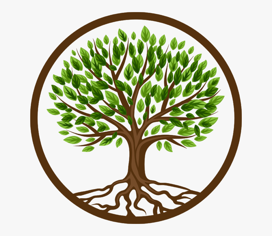 This Blog Post Will Be A Little Different That Most - Tree Roots And Leaves, Transparent Clipart