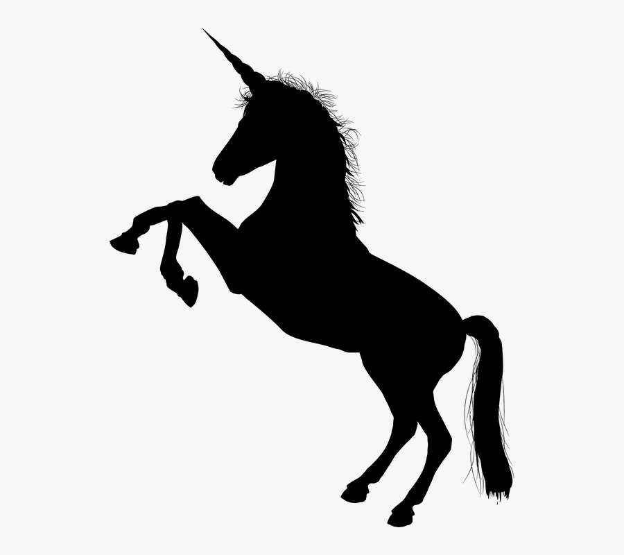 Black, Unicorn, Horn, Horse, Equine, Animal, Mythical - Shadow Of A Unicorn, Transparent Clipart