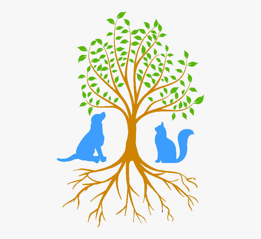 Beaver Brook Animal Hospital Tree Of Life - Sterling Oaks Real Estate Logo, Transparent Clipart