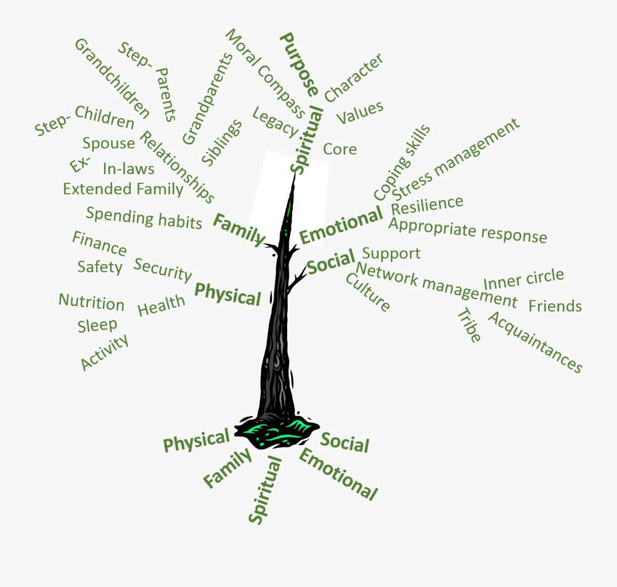 Tree Of Life - Tree Of Your Life, Transparent Clipart