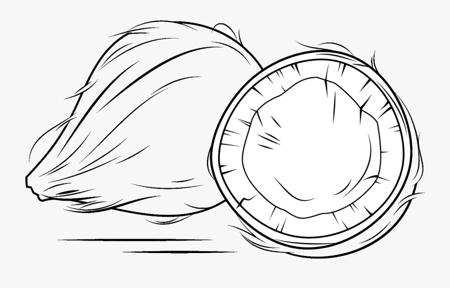 Clip Art Picture Royalty Free Coconut Black And White , Free