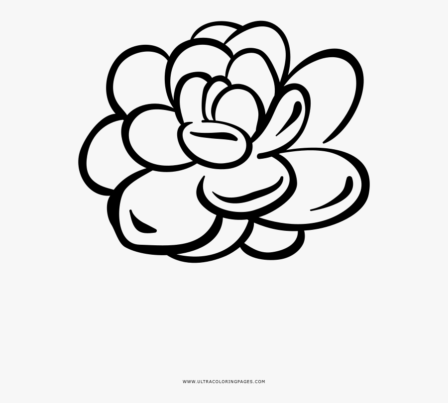 Succulent Houseplant Flower Coloring Page - Line Art, Transparent Clipart