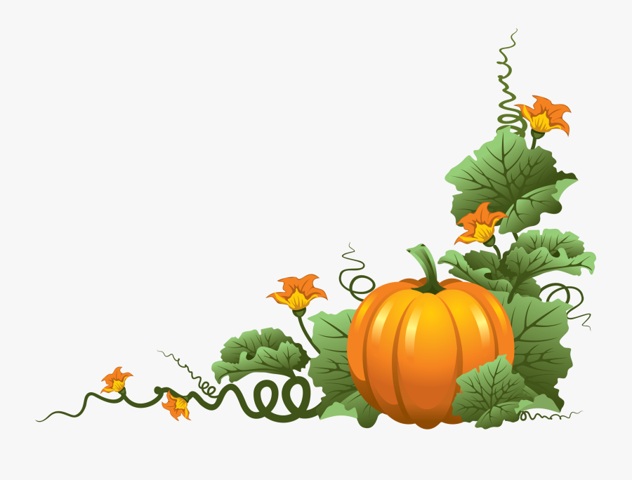 Clip Art Pumpkin On The Vine - Pumpkin Vine Clipart, Transparent Clipart