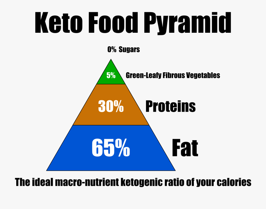 Clip Art Ilana You Might Also - الكيتوجينيك دايت, Transparent Clipart