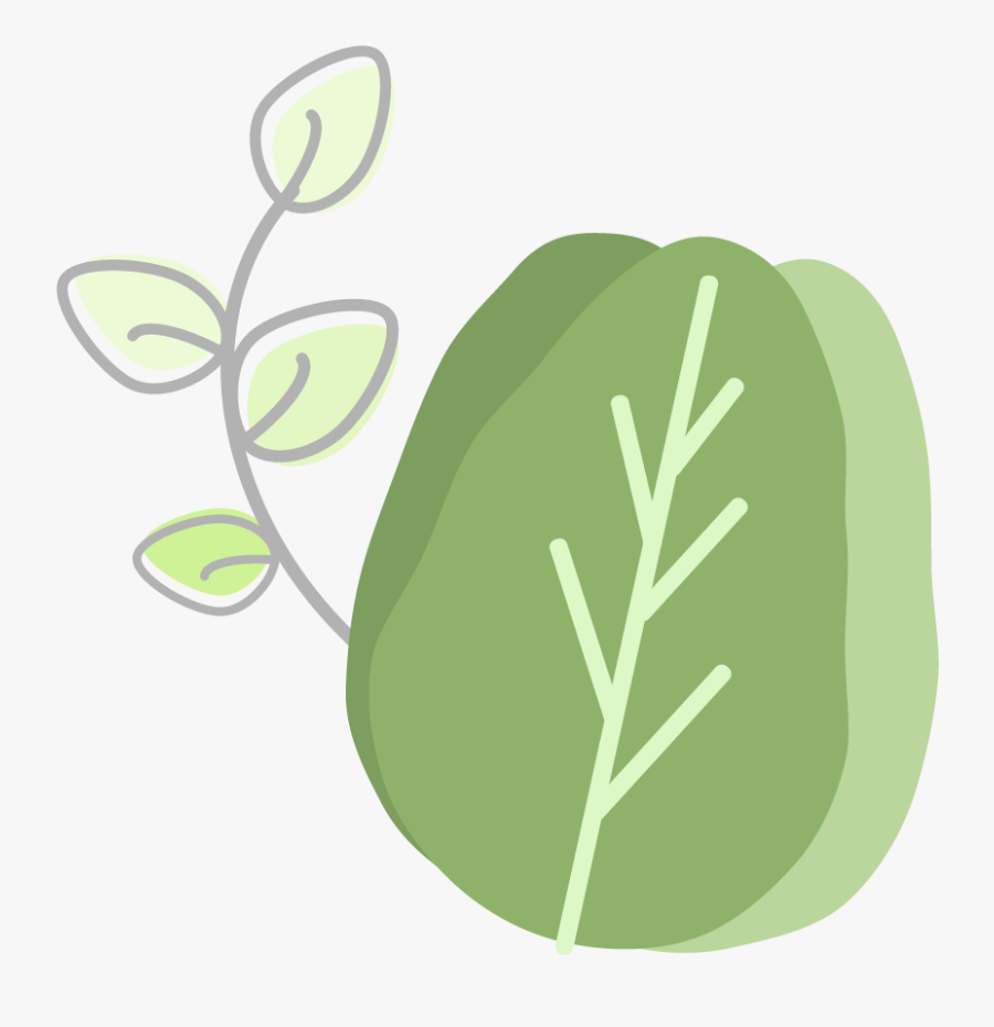 Meat Vector, Transparent Clipart