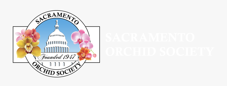 Meeting Clipart Monthly Meeting - Moth Orchid, Transparent Clipart