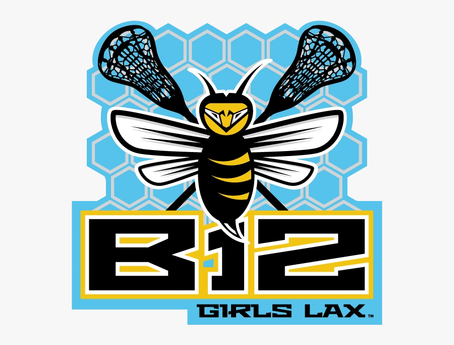 Image1 - Honeybee, Transparent Clipart