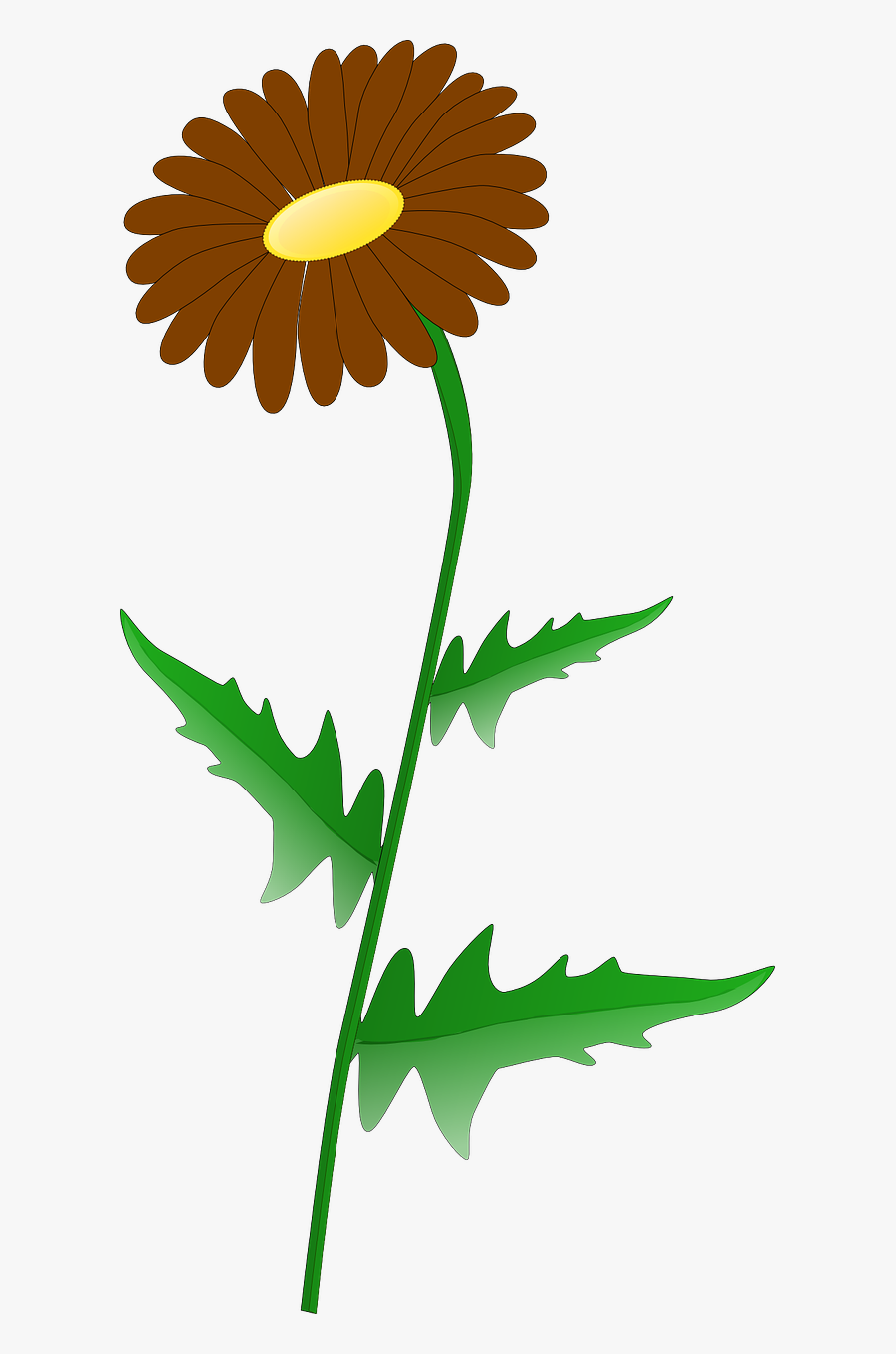 Flower Plant Leaves Free Photo - Wilted Daisy Clip Art, Transparent Clipart