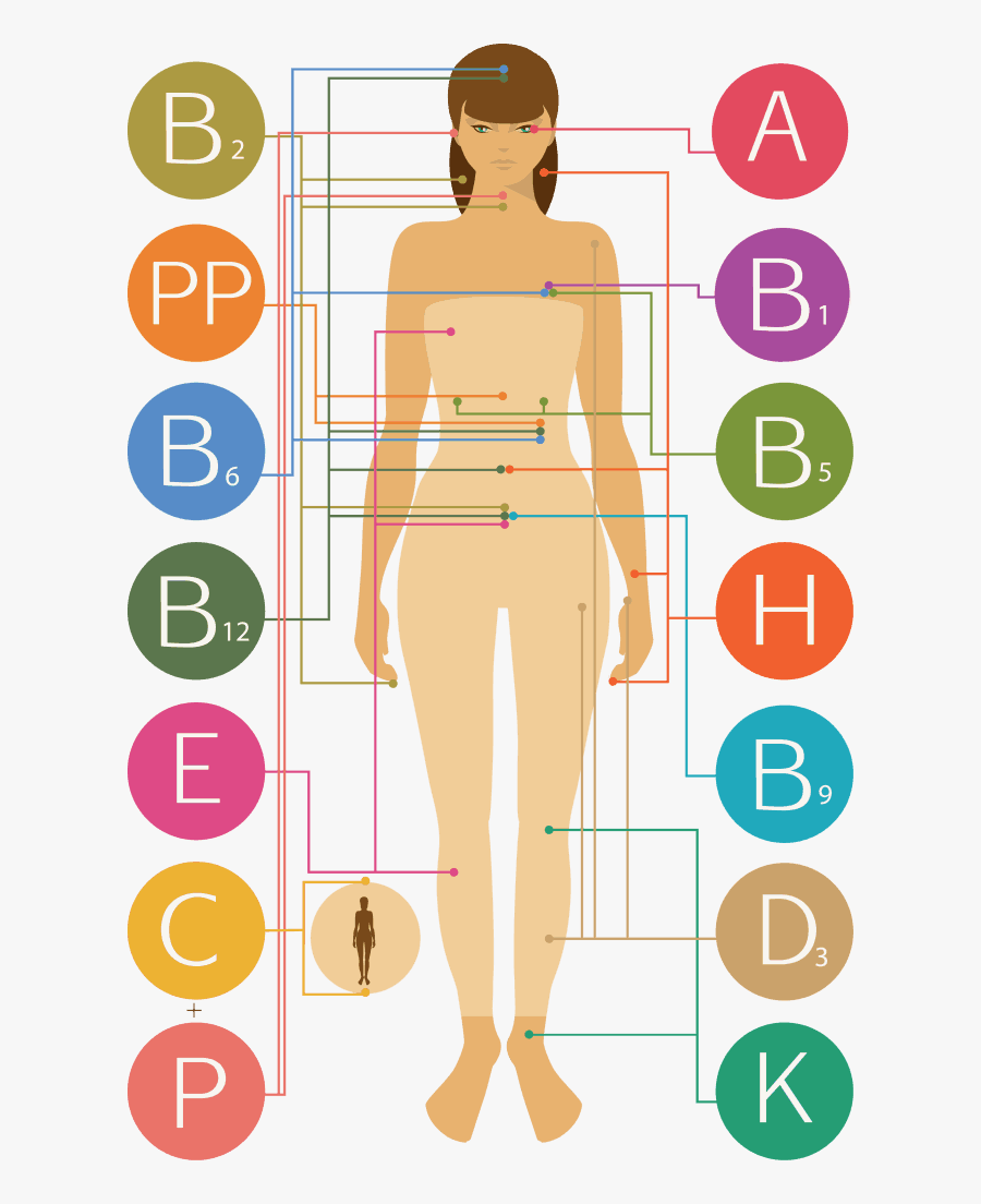 Vitamin For Human Body, Transparent Clipart