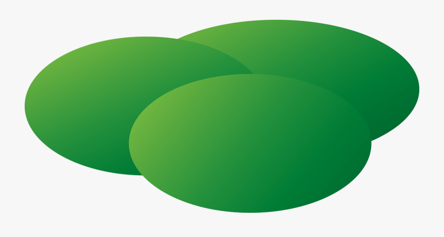 Circle, Transparent Clipart