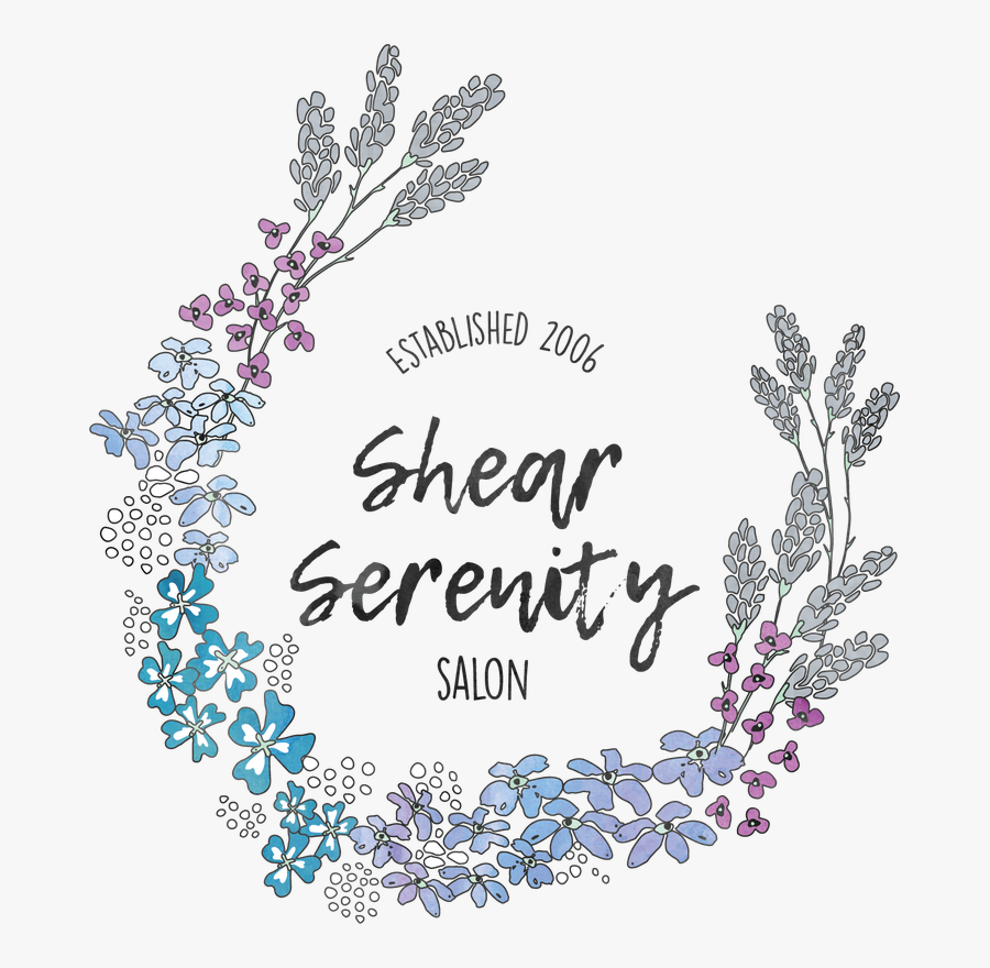 Picture, Transparent Clipart