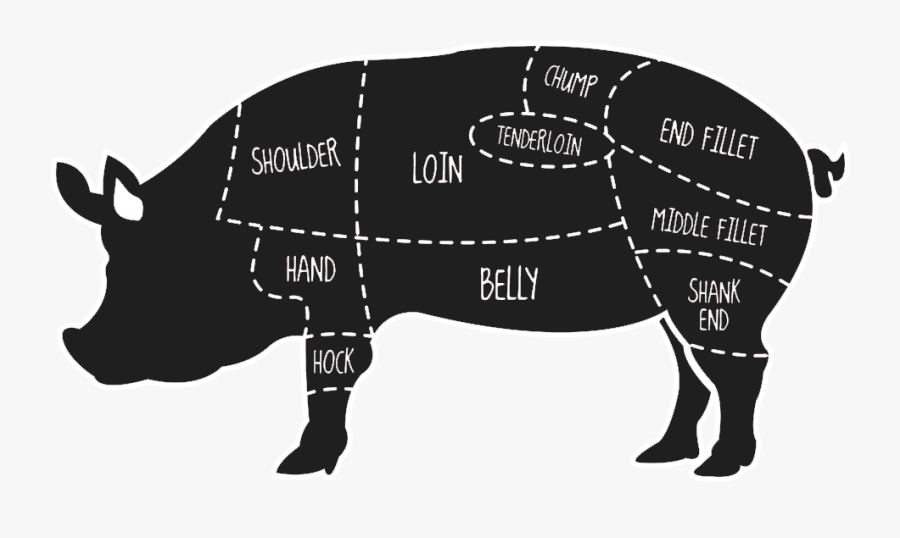Domestic Pig Butcher Primal Cut Meat Pork - Pig Map Of Meat, Transparent Clipart