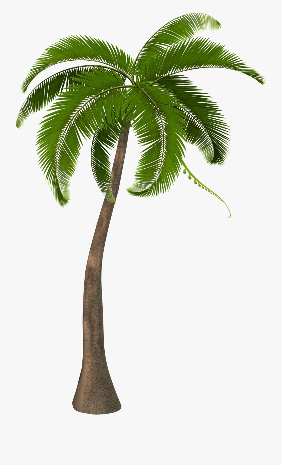 Hammock Clipart Hawaiian Coconut, Transparent Clipart