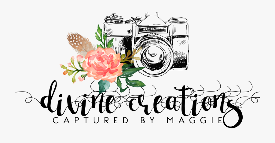 When To Your Engagement - Logo Of Professional Photography Art, Transparent Clipart