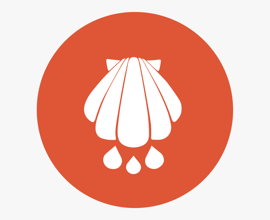 Circle, Transparent Clipart