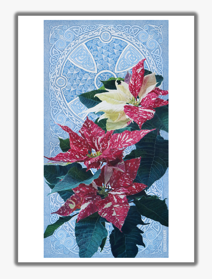 Good Tidings Of Great Joy Poinsettia Christmas Card - Poinsettia, Transparent Clipart