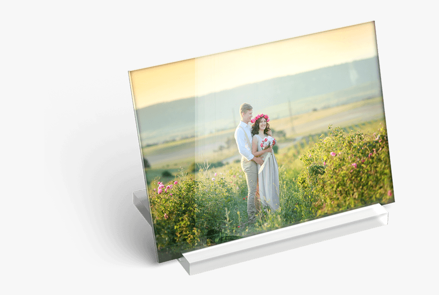 Photo Plaque - Photograph, Transparent Clipart