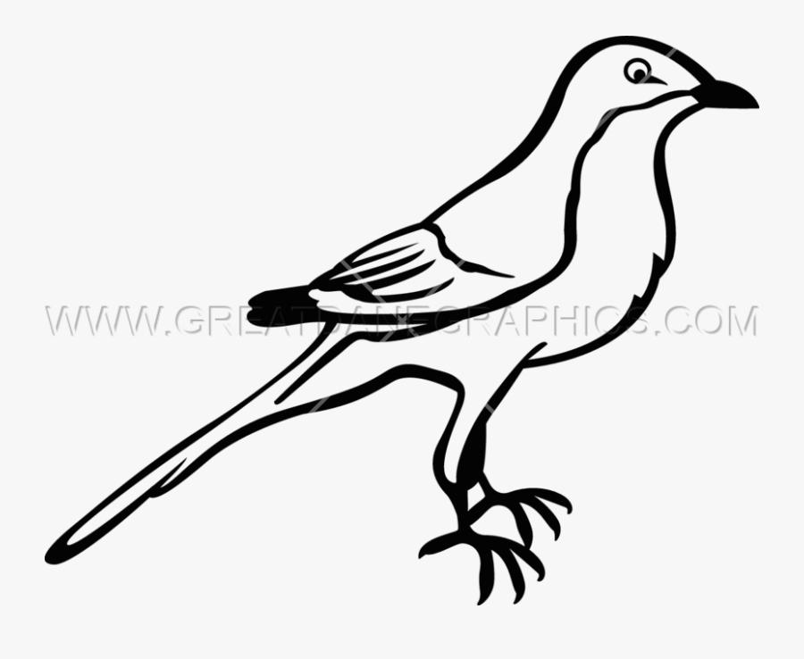 Mockingbird Clipart Texas Mockingbird - Northern Mockingbird Easy Drawing, Transparent Clipart